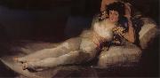 Francisco Goya, Clothed Maja